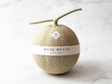 Japanese Musk Melon