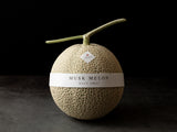 Japanese Musk Melon